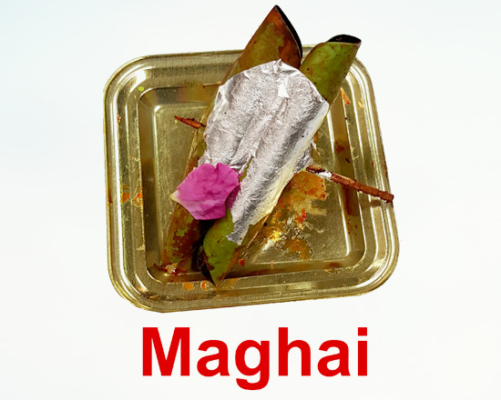 maghai-pan
