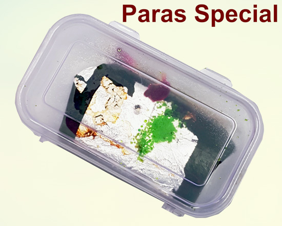 paras-special-pan